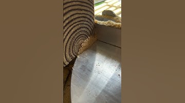 Accurate, Quick, Repetitive Cuts on a Miter Saw