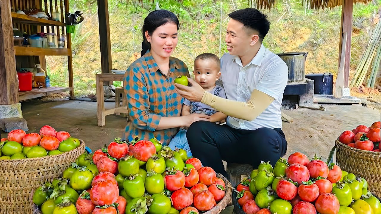 Hard Work Feels Lighter with My Son by My Side – Harvesting Persimmons for the Market
