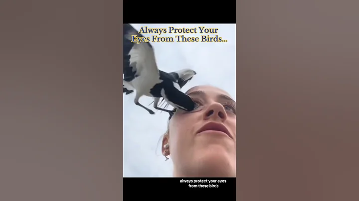 Always Protect Your Eyes From These Birds… #disturbing - DayDayNews