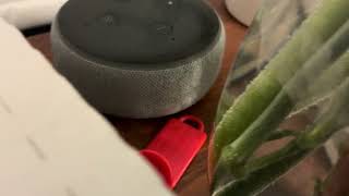 Kohl’s radio commercial
