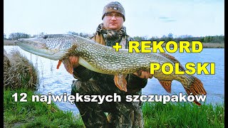 Szczupak Rekord Polski 12 Największych Szczupaków Z Zeszłego Sezonu Według Ww