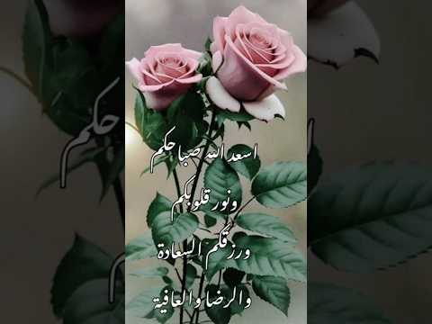 دعاء الصباح بصوت يريح القلب حالات واتس دينية صباح الخير صباحيات صباح الخير صباح الورد صباح 