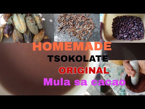 Video: Paggawa ng Chocolate Mula sa Scratch: Matuto Tungkol sa Pagproseso ng Cacao Pods