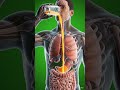 What Happens Inside Your Body When You Drink Juice? 🧃 (3D Medical#Animation#Anatomy#MedicalAnimation