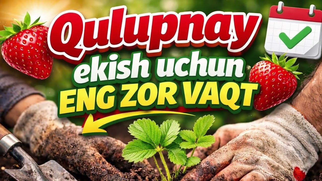 7 марта 2026 г.