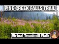 City Walks -  Pine Creek Montana Summer Calming Virtual Treadmill Nature Walk - 4K Water Fall