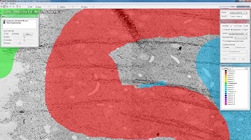VAST Lite Tutorial: Introduction to multiscale voxel painting