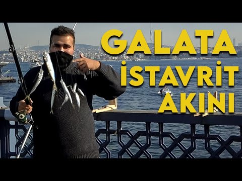 Video: Balık Köprüsü