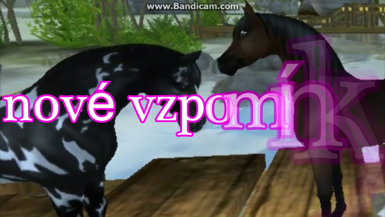 Star Stable - Můj rok 2017