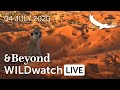 WILDwatch Live | 04 July, 2020 | Morning Safari | South Africa