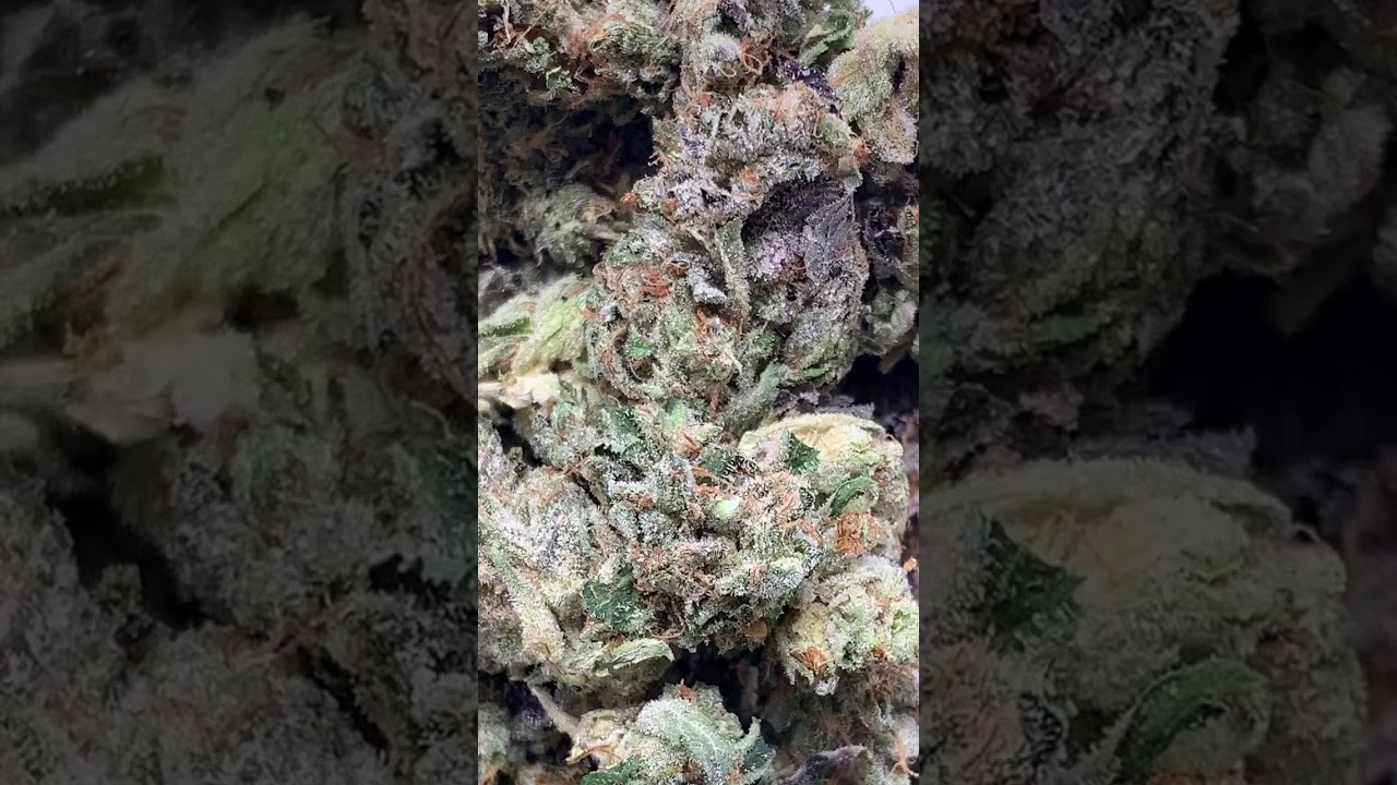 Greasy Pink Bubba AAA