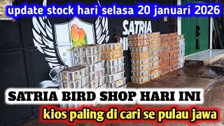 Update stock di satria birdshop hari selasa bongkaran burung sumatra walau pun sedikit tapi mewah 