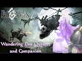 Wandering Don Quixote and Companion | Fate Grand Order | Fate/Grand Order | FGO Interlude