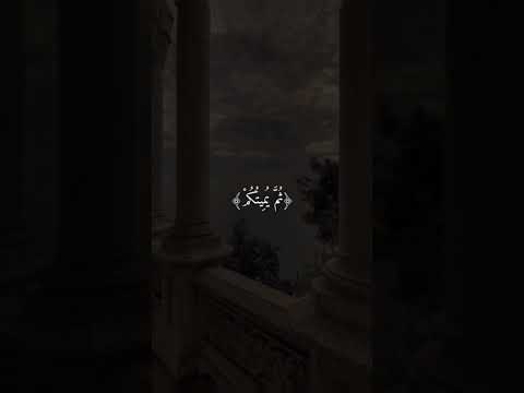 كيف تكفرون بالله وكنتم امواتا فاحياكم ماهر المعيقلي قران كريم راحه نفسيه