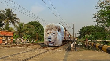 Fast & Furious Lion Headed Train : Dangerous Roaring Sound Aggressive Moving Out Railgate