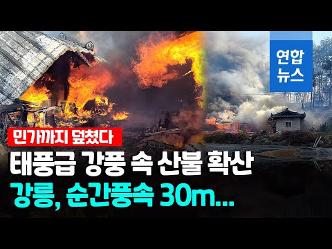 태풍급 강풍 속 강릉산불 민가 확산…소방대응 최고단계  / 연합뉴스 (Yonhapnews)