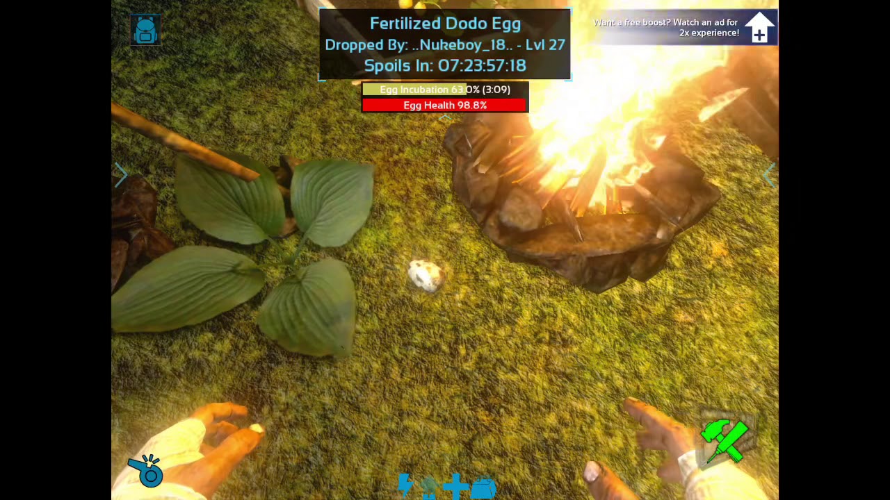 ark dodo egg kibble