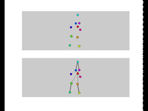 motion capture, human walker