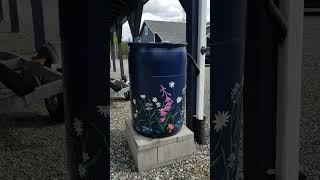 Willow Alaska Foral Wild flower #rainbarrels  Painting Rain barrels