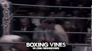 BOXERS PUNCHED THROUGH THE ROPES #5 Boxing Vines   vk com boxingvines
