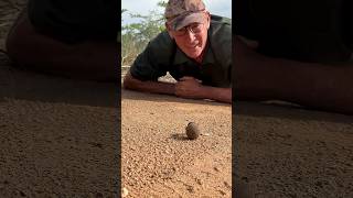 ¿Castigo o Supervivencia La verdad sobre esta bola de mierd4