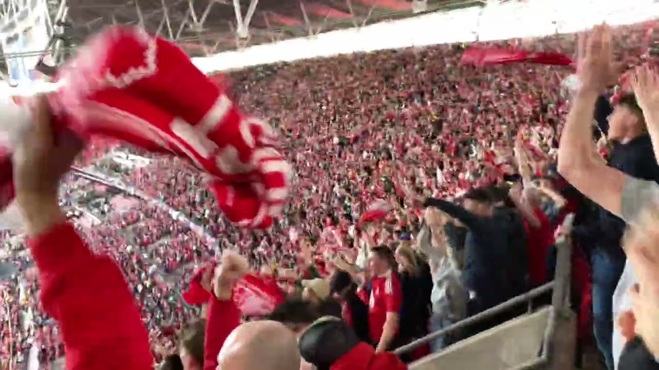 Scenes! Nottingham Forest fans celebrate Premier League promotion to Gala’s Freed From Desire