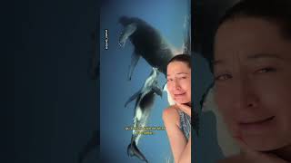 Quiz 3 : IA animalière ou pas