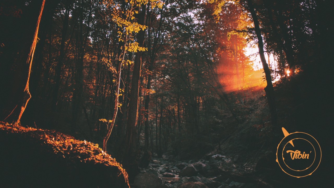 atreetalking - Night Cap