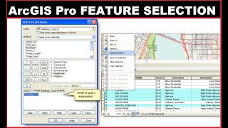 ArcGIS Pro Feature Selection