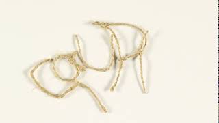 Stop-motion Animation String (Typography)