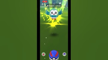 Shiny Rowlet PokemonGO #pokemongo #pokemonEvolutionPokemonGO #pokemon #evolve