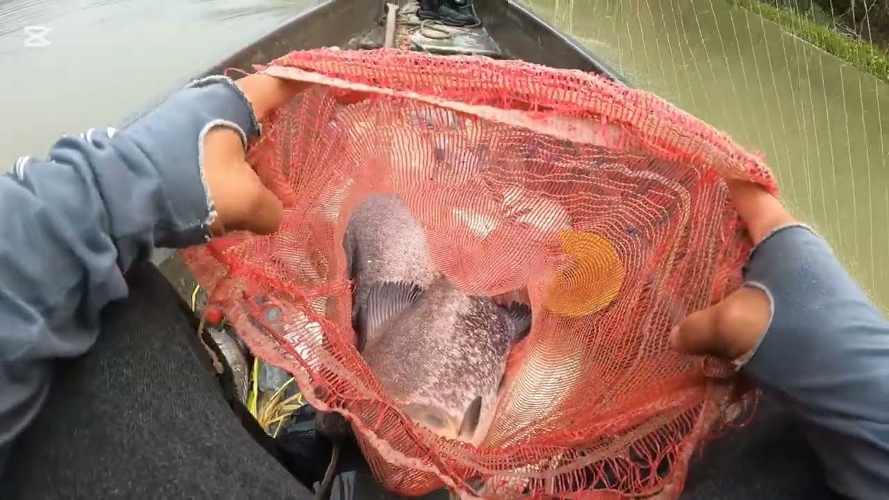 Pesca en el río Cauca 2 (Represa Hidroituango)