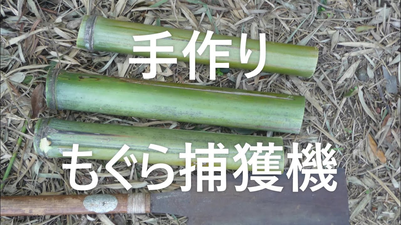 手作り　もぐら捕獲機