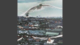 1 - Кот Балу