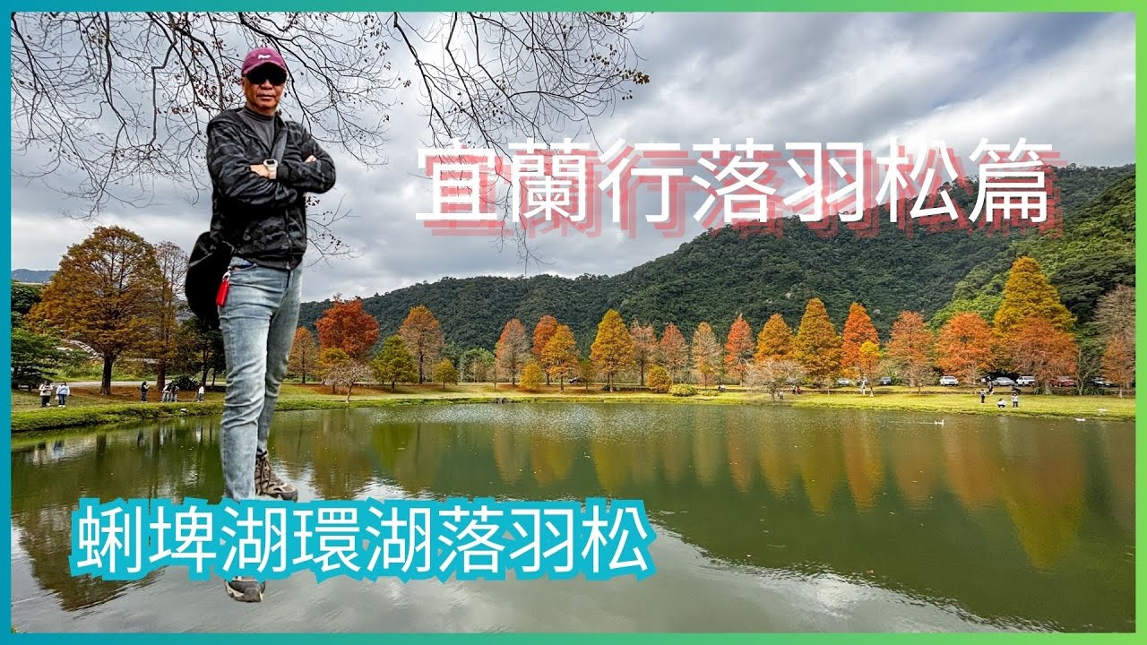 20260114萬ㄟeye台灣～宜蘭行落羽松篇蜊埤湖落羽松/請打開CC字幕   4K