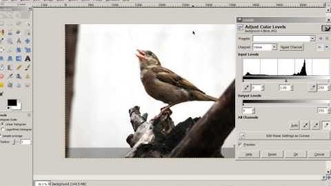 gimp tutorial for beginners Using Color level