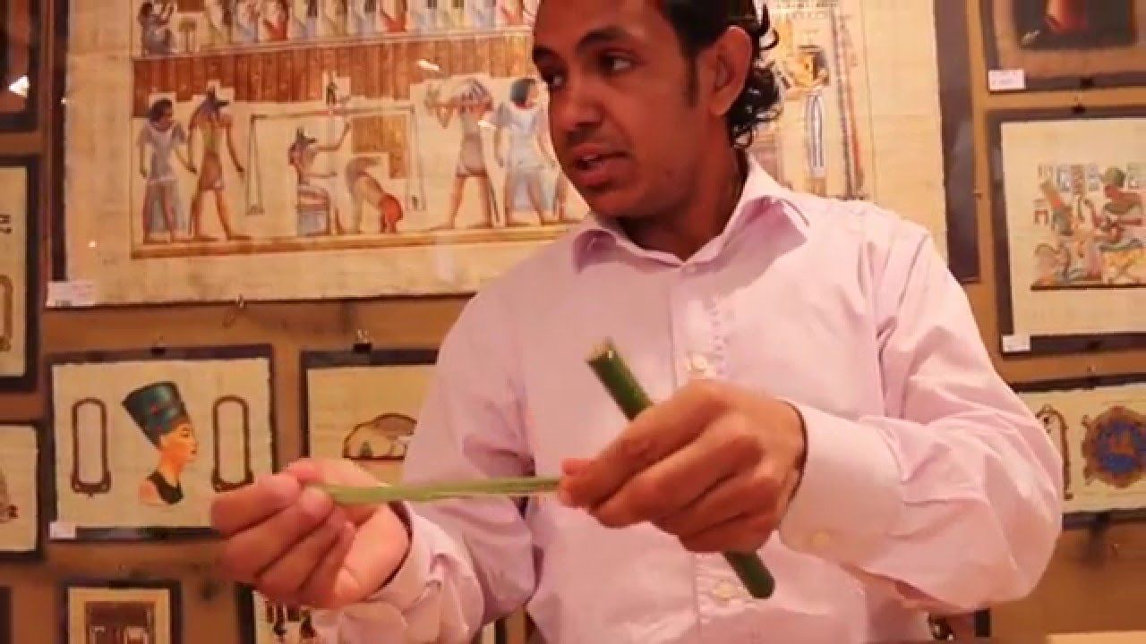 Papyrus How Egyptians use the plant to write and paint YouTube