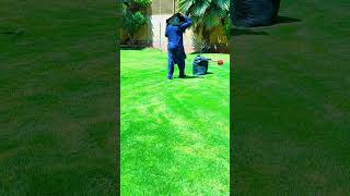 cleaning the garden, and giving everything a fresh look.#GardenWork #GardeningLife #Garden# lawncare