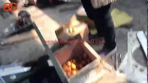 fruit pitting machine for apricot,plum,green plum|apricot pitting machine work video