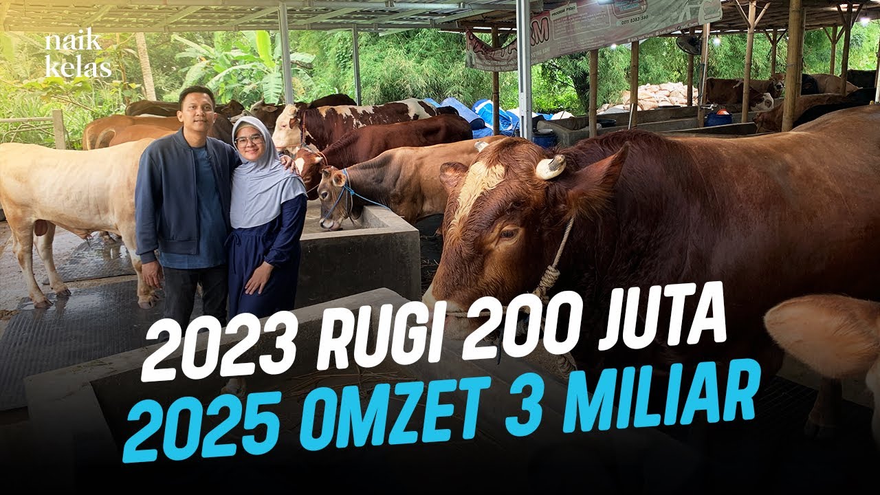 Ternak Sapi Rugi 200 Juta di Tahun Pertama, Raup Omzet 3 MILIAR di Tahun Ketiga !