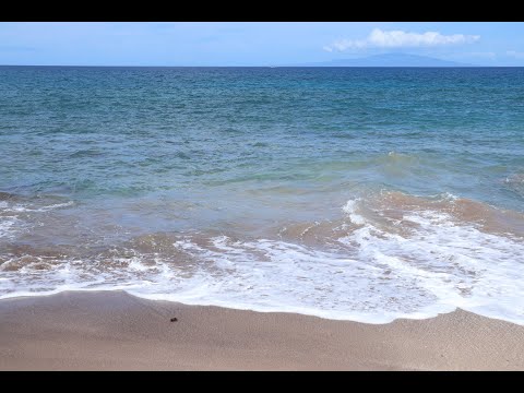 Sea Breeze: 3