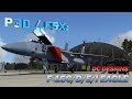 P3D / FSX Review - DC Designs F-15 Eagle Family