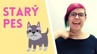 : Learn Slovak with Stories: Star'y pes