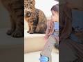 CAT рџђ рџђ Cat Shorts Funny Subscribemychannel Cute Kitten Viralvideo Trending CAT рџђ рџђ Cat Shorts Funny Subscribemychannel Cute Kitten Viralvideo Trending