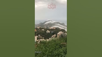 الصلاة على النبى ( القارئ محمد بكرى أبو الدهب )