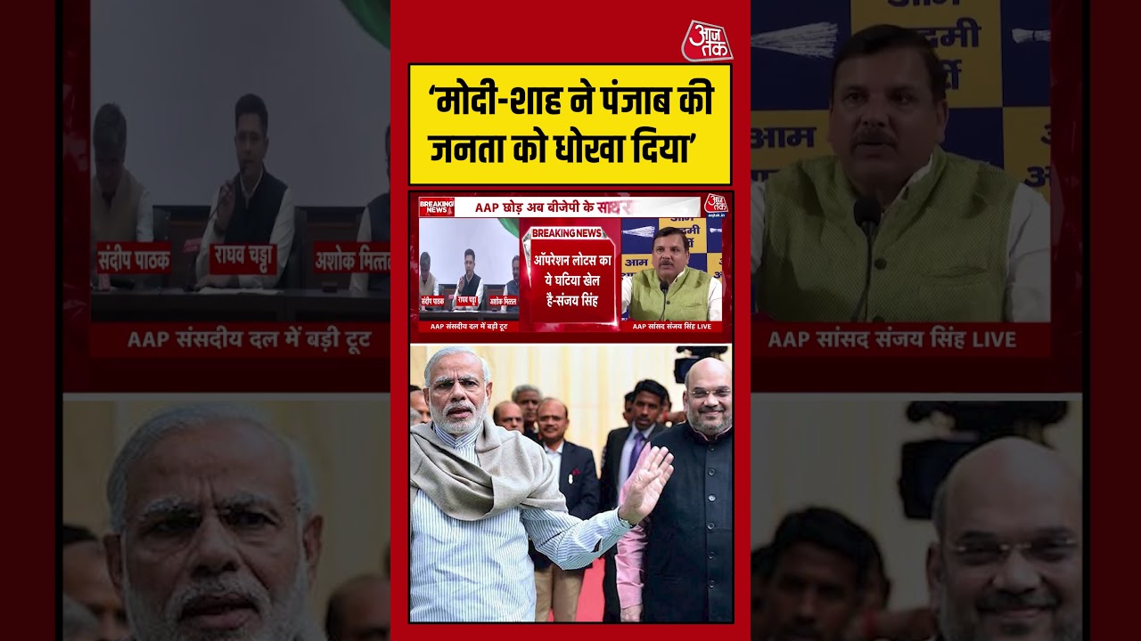 Delhi: ‘मोदी-शाह ने पंजाब की जनता को धोखा दिया’        #raghavchadha #aap #aajtak #shorts #trending