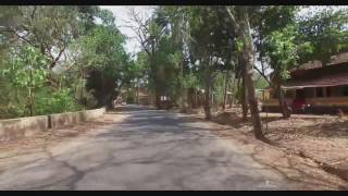 Goa streets - Arambol beach road
