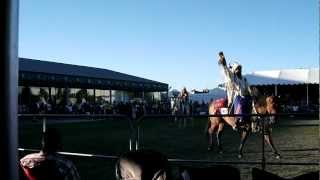 Julyamsh Horse Procession.AVI