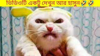 animal most funny video|| animal lunching video 🤣😂||#funnyvideo #tiktok #animalfunny #usmarttiko