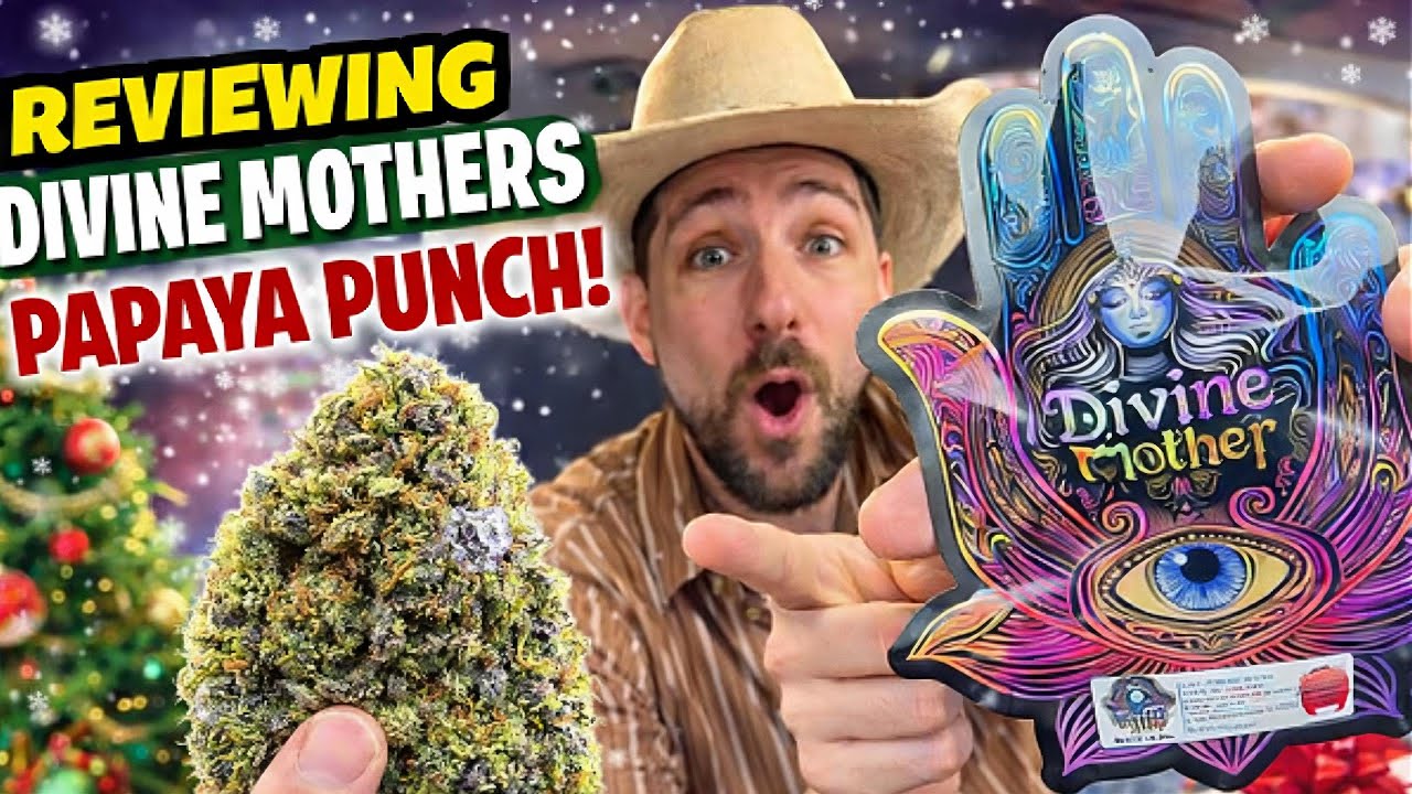 Перед Рождеством я попробовала папайевый пунш от Divine Mothers… Вау! 🍊🎄